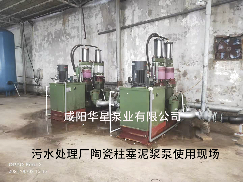 廣東陶瓷(ci)柱塞泵