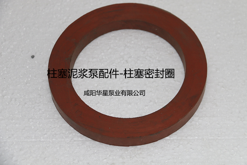 柱塞密(mi)封圈