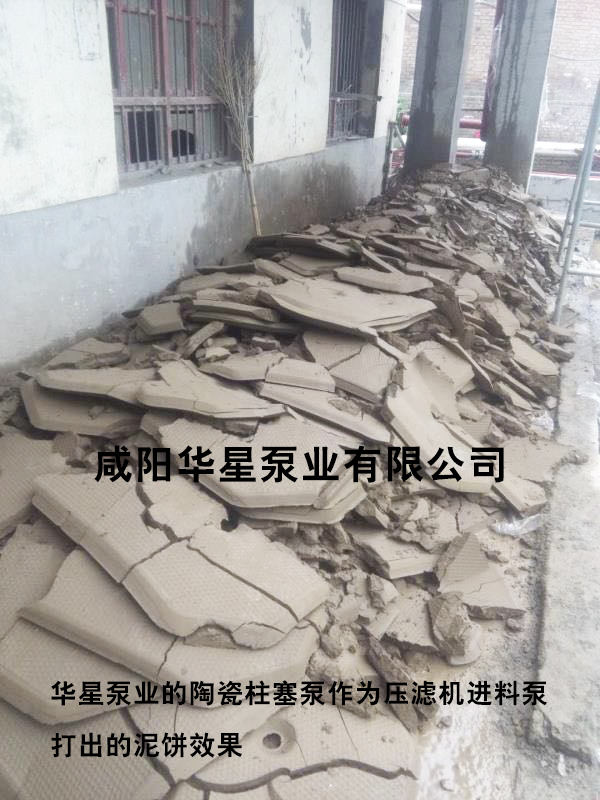 華星(xing)泵業(ye)泥餅(bing)-水印(yin)