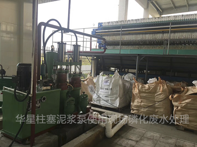 壓濾(lü)機入(ru)料泵(beng)有兩(liang)種密(mi)封形(xing)式