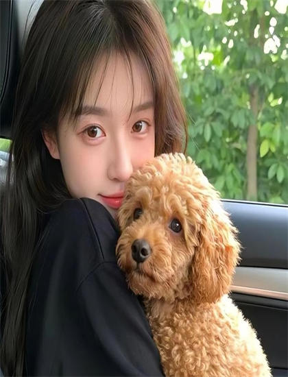 三年片观看免费观看_乔家的儿女在线观看完整版_girlsanddogs欧美